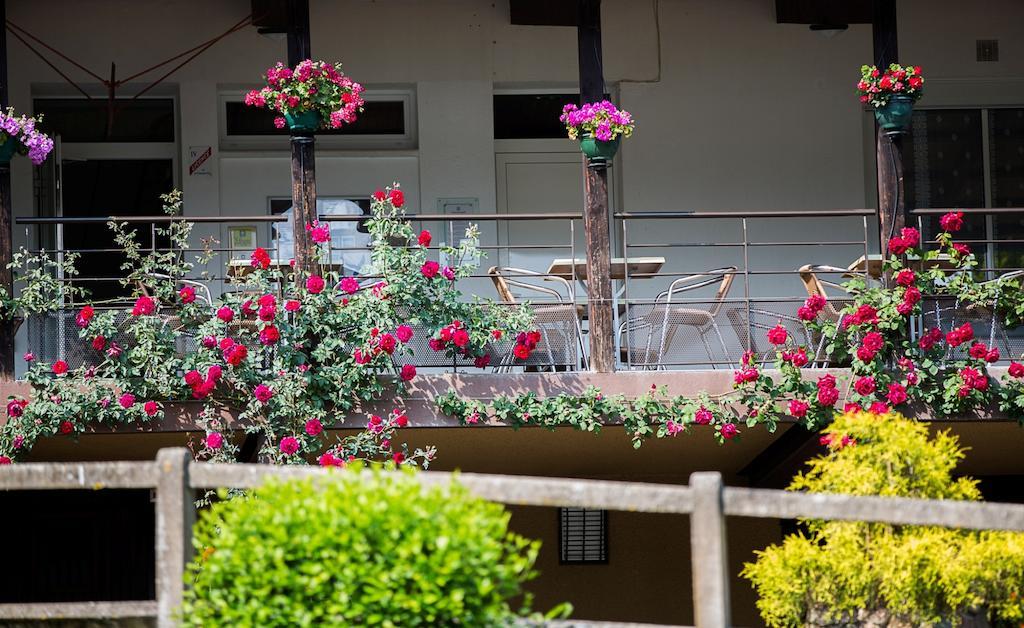 Hotel Logis Belle Vue 3*